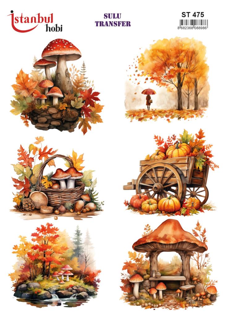 Sulu Transfer Kağıdı 25x35cm ST-475