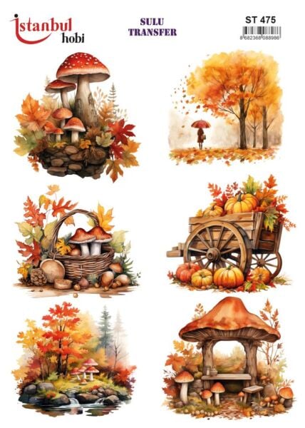 Sulu Transfer Kağıdı 25x35cm ST-475