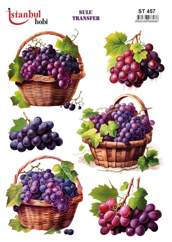 Sulu Transfer Kağıdı 25x35cm ST-457