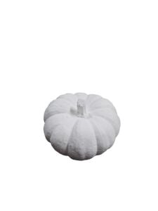 Düz Saplı Bal Kabağı 7,5x4,5cm