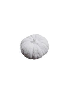 Düz Saplı Bal Kabağı 6x4cm