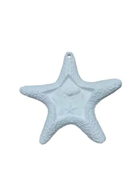 Deniz Yıldızı 17x16cm