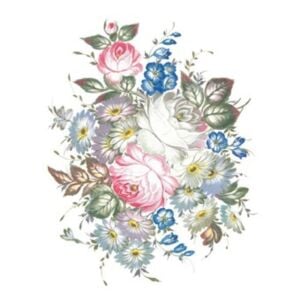 Oleg Kulakov 25x35cm Transfer Kağıdı T-229