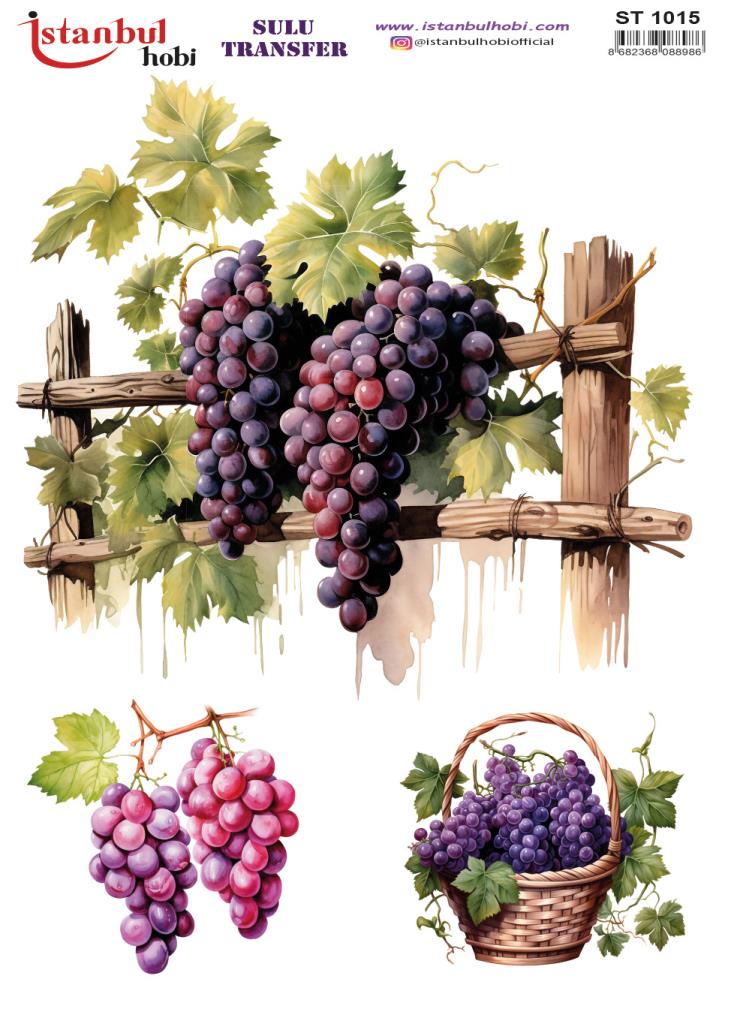 Sulu Transfer Kağıdı 25x35cm ST-1015