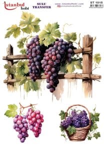 Sulu Transfer Kağıdı 25x35cm ST-1015