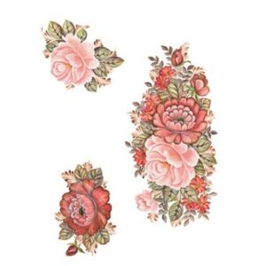 T04 Svetlana Zhurkina 17x25 Transfer