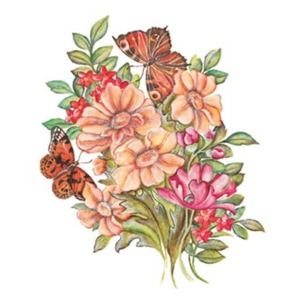 T05 Svetlana Zhurkina 17x25 Transfer