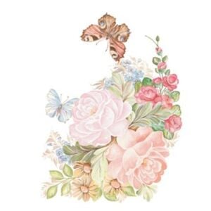 T10 Svetlana Zhurkina 17x25 Transfer