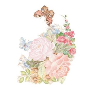 T10 Svetlana Zhurkina 17x25 Transfer