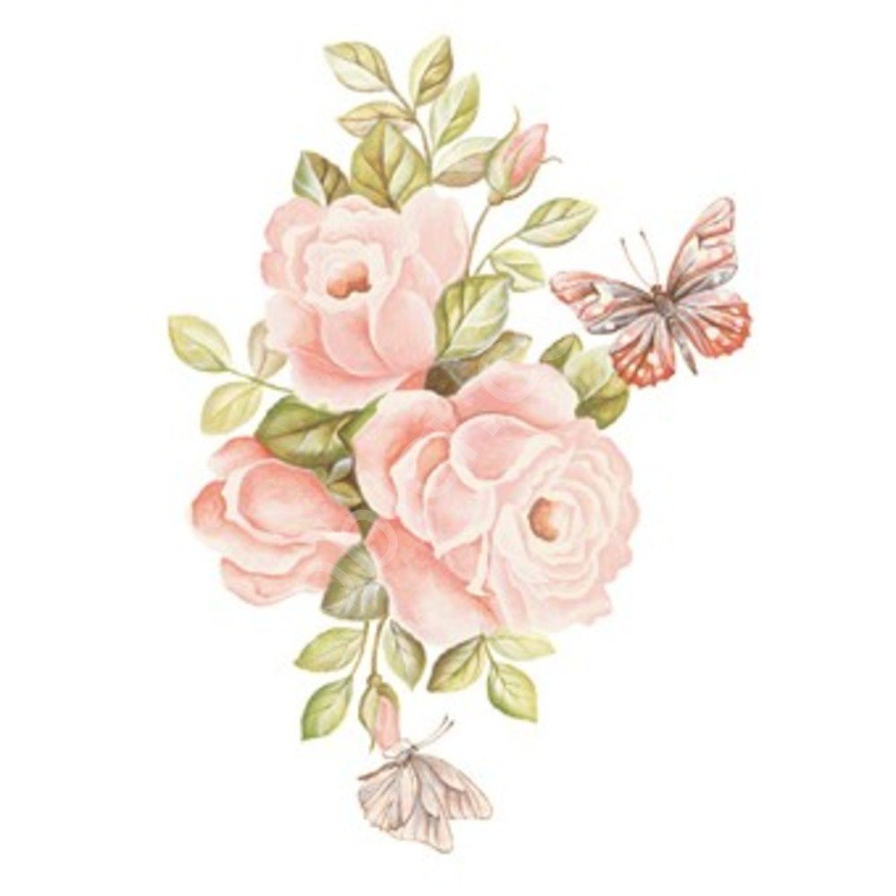 T11 Svetlana Zhurkina 17x25 Transfer