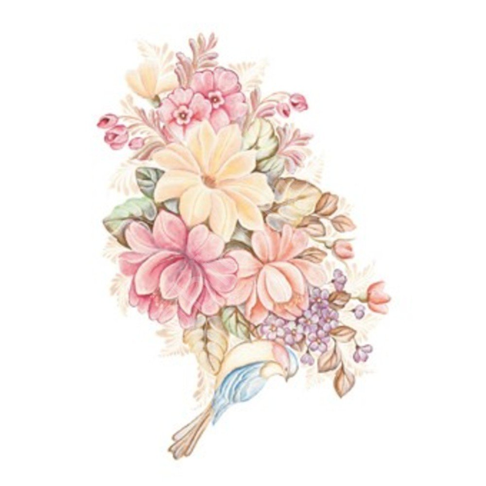 T12 Svetlana Zhurkina 17x25 Transfer