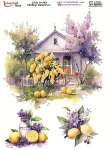 Pirinç Dekopaj Kağıdı 30x42cm PT-1720