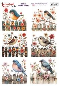 Sulu Transfer Kağıdı 25x35cm ST-1548