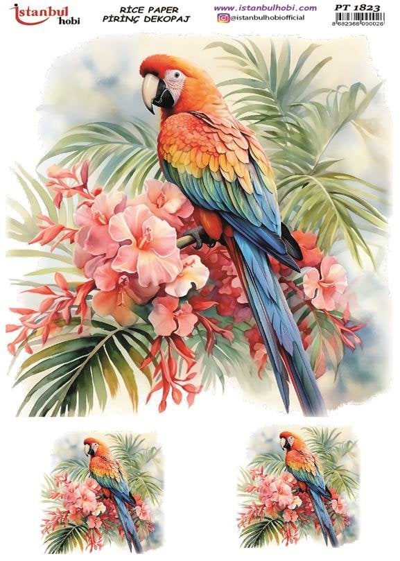 Pirinç Dekopaj Kağıdı 30x42cm PT-1823