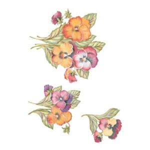 T209 Svetlana Zhurkina 25x35 Transfer