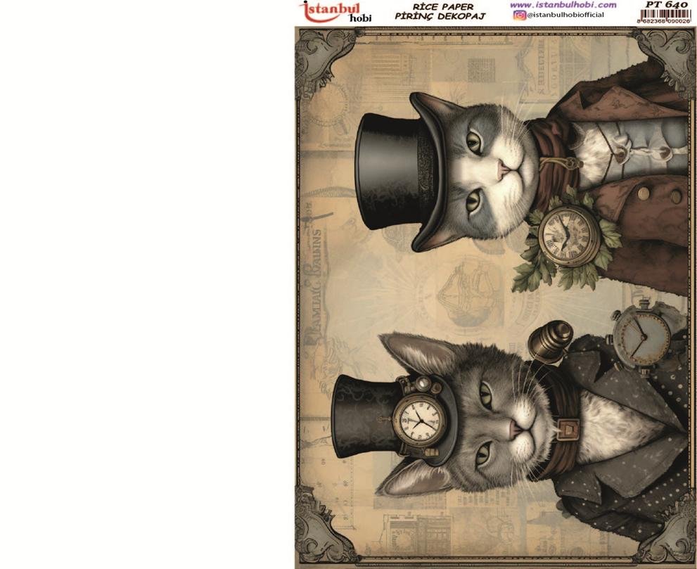 Pirinç Dekopaj Kağıdı 30x42cm PT-640 Kedi