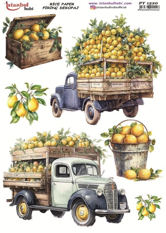 Pirinç Dekopaj Kağıdı 30x42cm PT-1520