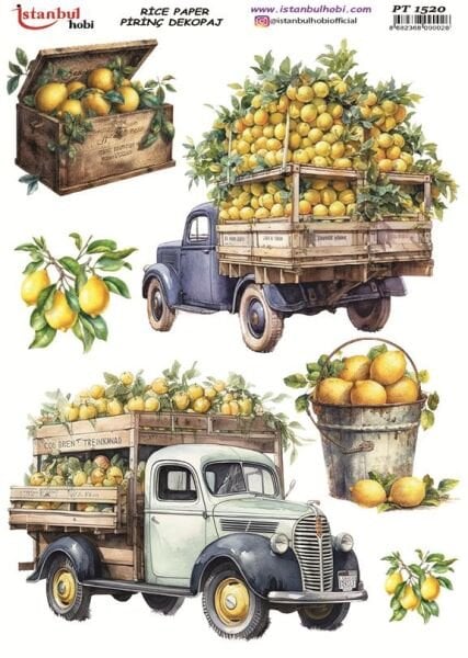 Pirinç Dekopaj Kağıdı 30x42cm PT-1520