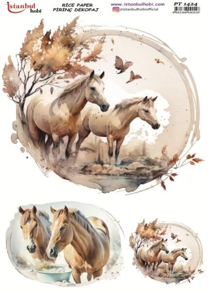 Pirinç Dekopaj Kağıdı 30x42cm PT-1424