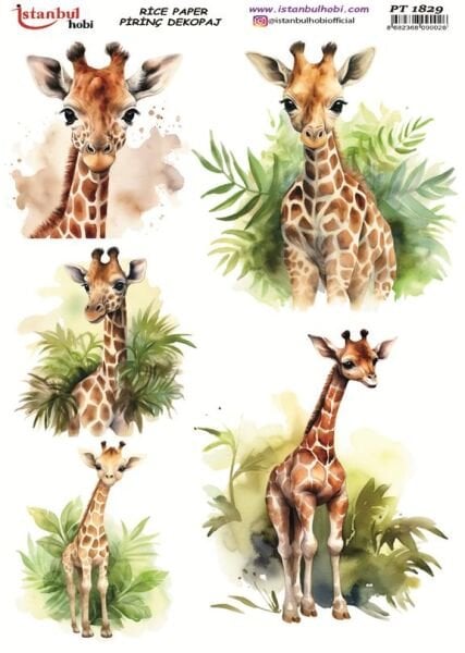 Pirinç Dekopaj Kağıdı 30x42cm PT-1829