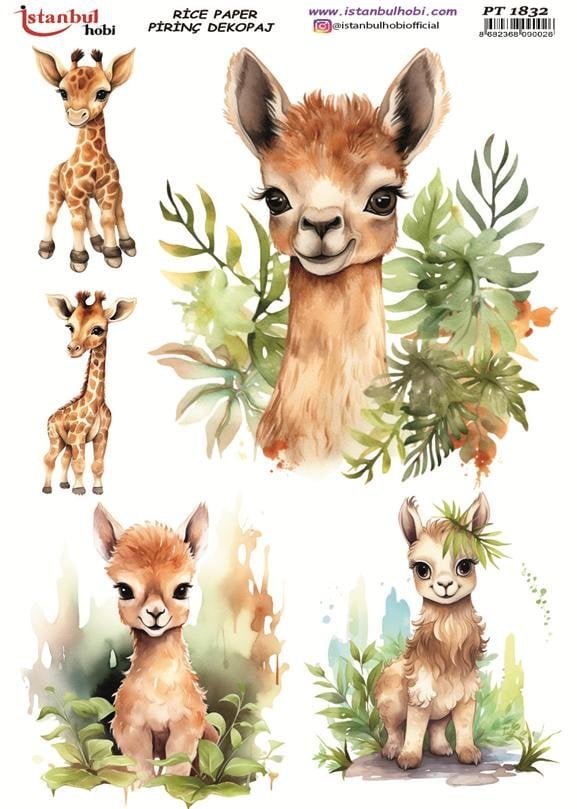 Pirinç Dekopaj Kağıdı 30x42cm PT-1832