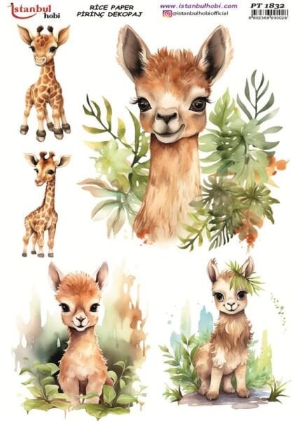 Pirinç Dekopaj Kağıdı 30x42cm PT-1832