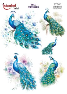 Sulu Transfer Kağıdı 25x35cm ST-767