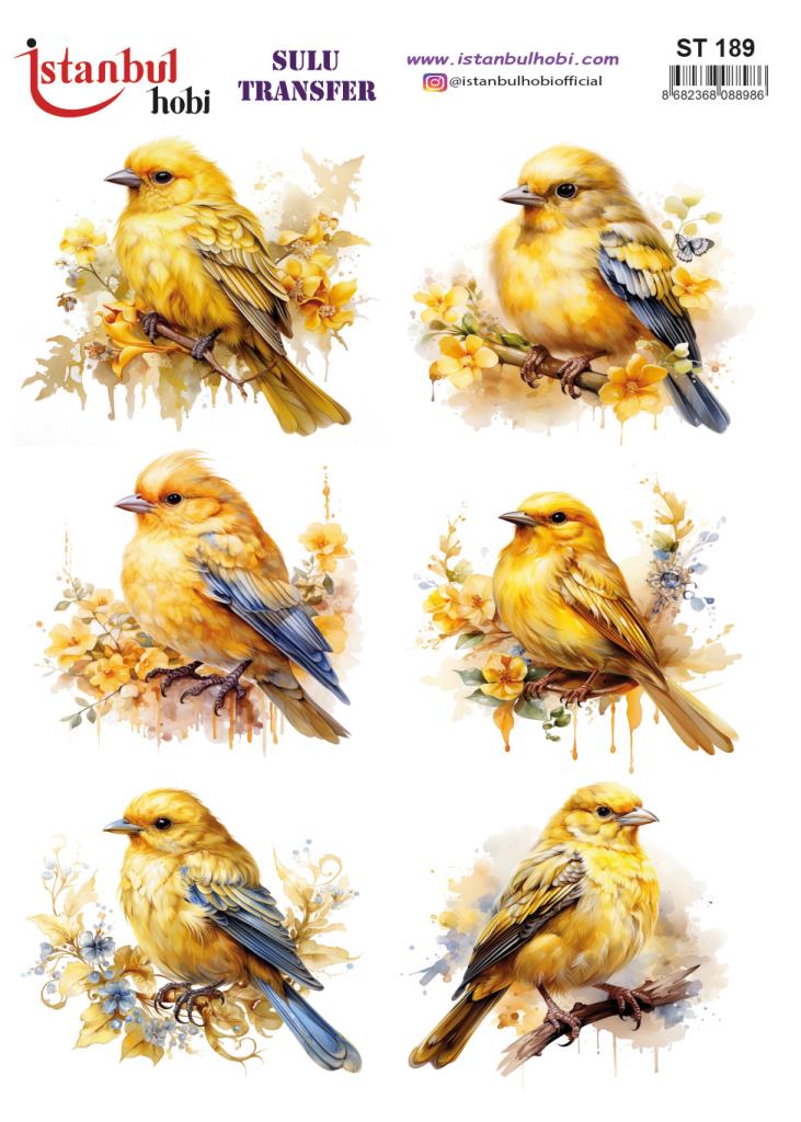 Sulu Transfer Kağıdı 25x35cm ST-189