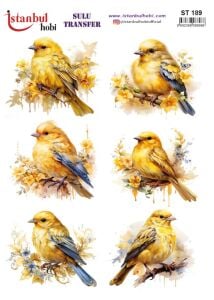 Sulu Transfer Kağıdı 25x35cm ST-189