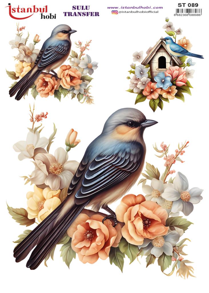 Sulu Transfer Kağıdı 25x35cm ST-089