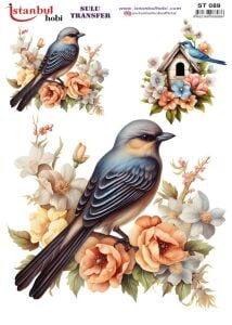 Sulu Transfer Kağıdı 25x35cm ST-089