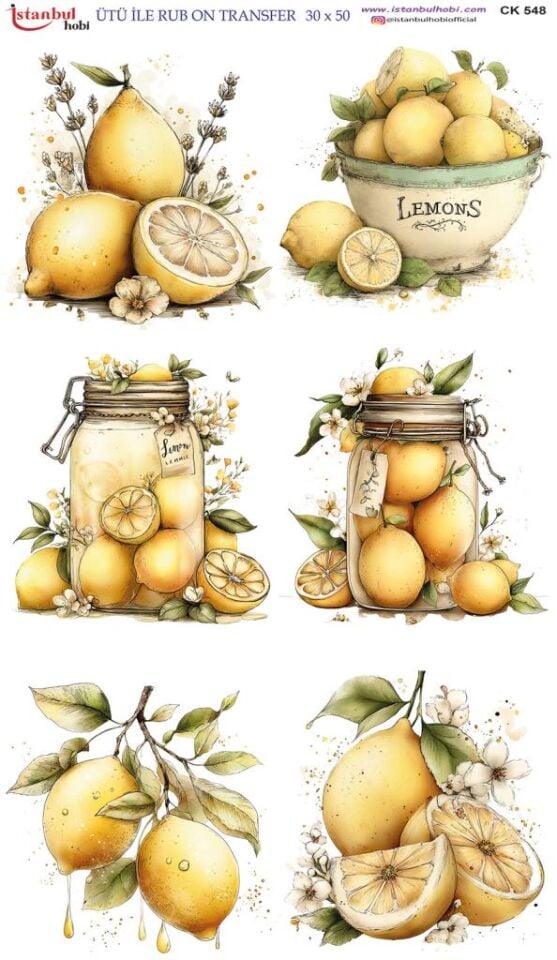 Ütü İle Rub On Transfer Kağıdı 30x50cm CK548