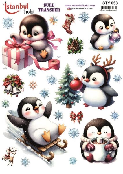 Yılbaşı Sulu Transfer 25x35cm STY053