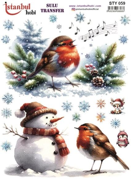 Yılbaşı Sulu Transfer 25x35cm STY059