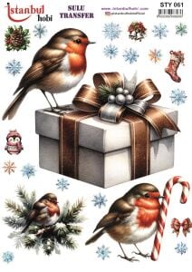Yılbaşı Sulu Transfer 25x35cm STY061