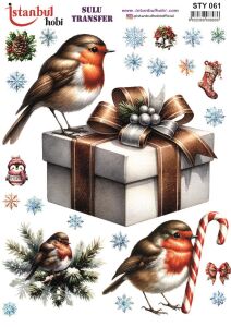Yılbaşı Sulu Transfer 25x35cm STY061