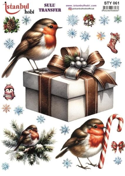 Yılbaşı Sulu Transfer 25x35cm STY061
