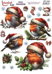 Yılbaşı Sulu Transfer 25x35cm STY062