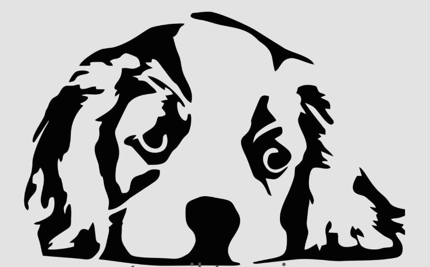 Hayvan Temalı Desenler Stencil Şablon (15x20) H-034