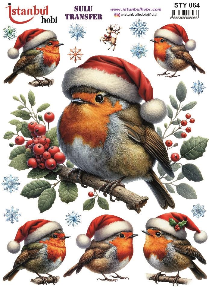 Yılbaşı Sulu Transfer 25x35cm STY064