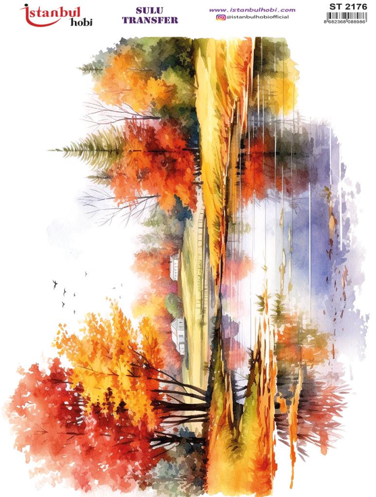 Sulu Transfer Kağıdı 25x35cm ST-2176