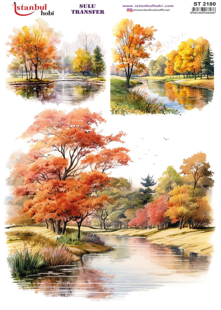 Sulu Transfer Kağıdı 25x35cm ST-2180