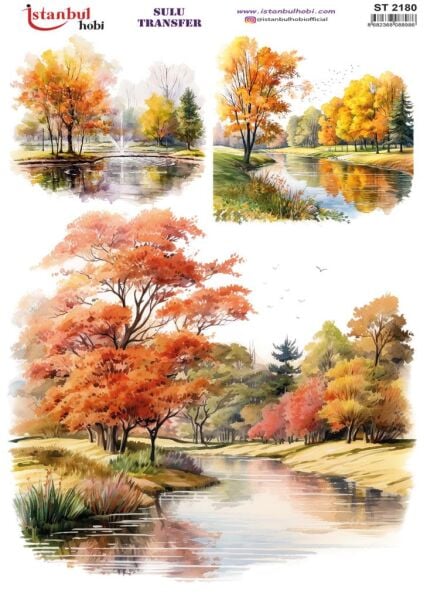 Sulu Transfer Kağıdı 25x35cm ST-2180