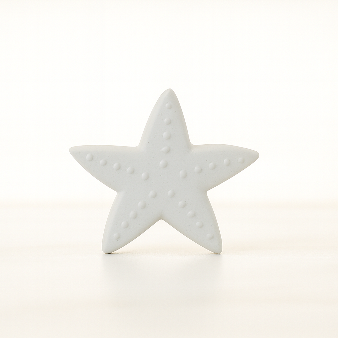 Deniz Yıldızı Figür 4x4,5cm