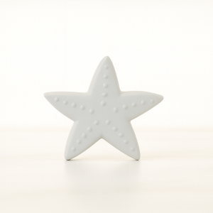 Deniz Yıldızı Figür 4x4,5cm