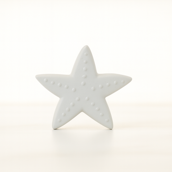 Deniz Yıldızı Figür 4x4,5cm