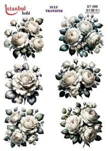 Sulu Transfer Kağıdı 25x35cm ST-899