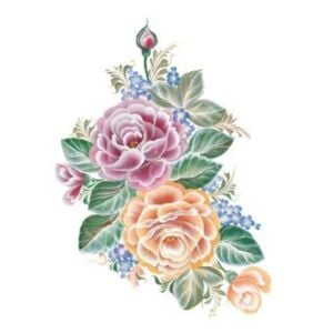 T01 Svetlana Zhurkina 17x25 Transfer