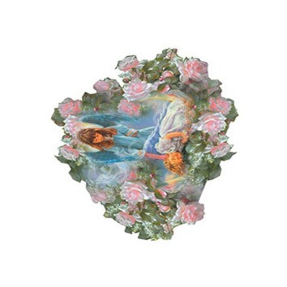 G139 17x25 Planet Transfer