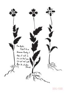 BN156 25x35 Cadence BN Serisisi Stencil